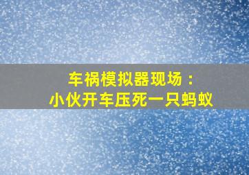 车祸模拟器现场 : 小伙开车压死一只蚂蚁